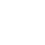 AUTOMOVILES CORRECTA