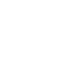 NEW FIGHTER CORRECTA